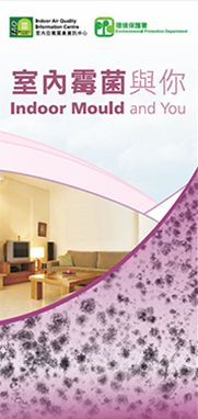 Indoor Mould and You