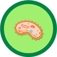 Icon of Biological contaminants